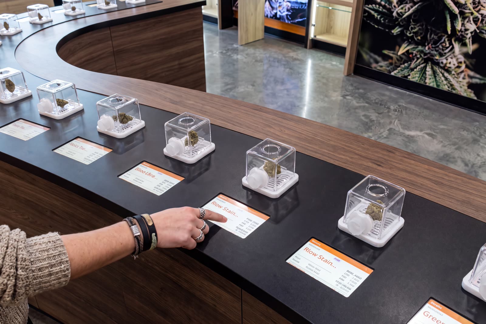 Unity Rd dispensary interior — curved sensory flower bar with smell jars